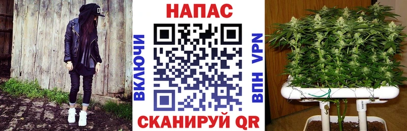 Какие есть наркотики Алзамай СК Меф АМФЕТАМИН Кокаин Конопля