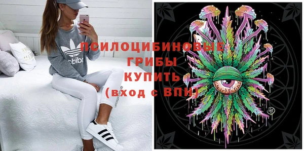 молекула духа Алзамай