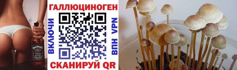Галлюциногенные грибы MAGIC MUSHROOMS Алзамай
